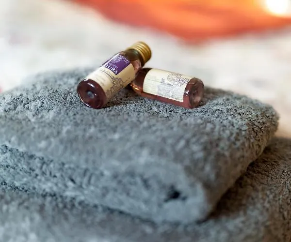 Romantische In Jugendstilvilla - Del Viento דירה